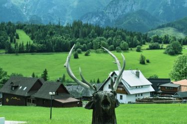 amfo20 nove v starom 13 mb