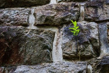 amfo20 nove v starom 16 pm