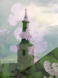 amfo20 nove v starom 21 vg