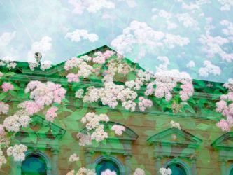 amfo20 nove v starom 33 et