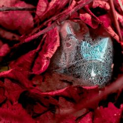 amfo20 nove v starom 37 mv