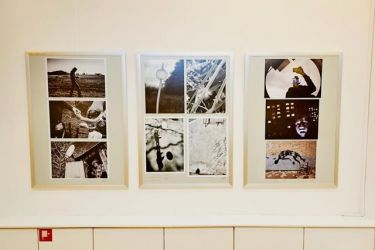 amfo 20 sk vystava 14