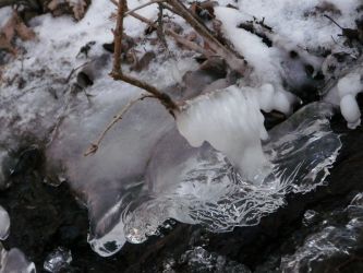 amfo 21 reg 16ff 01 005 si