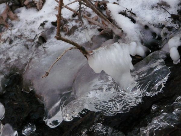 amfo 21 reg 16ff 01 005 si