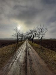 amfo 21 reg 16ff 02 007 mo