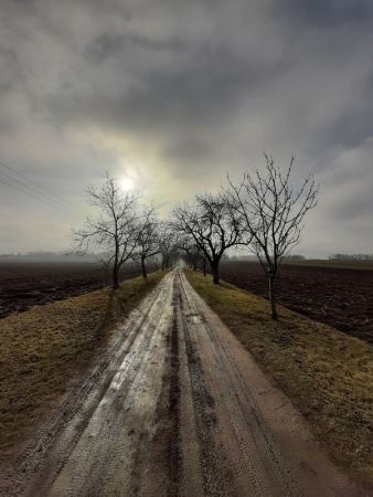 amfo 21 reg 16ff 02 007 mo