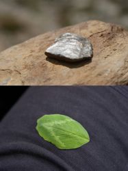 amfo 21 reg 16ff 03 009 fk