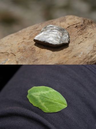 amfo 21 reg 16ff 03 009 fk