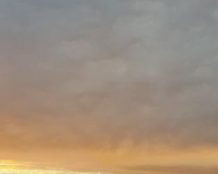 amfo 21 reg 16ff vv 019 al