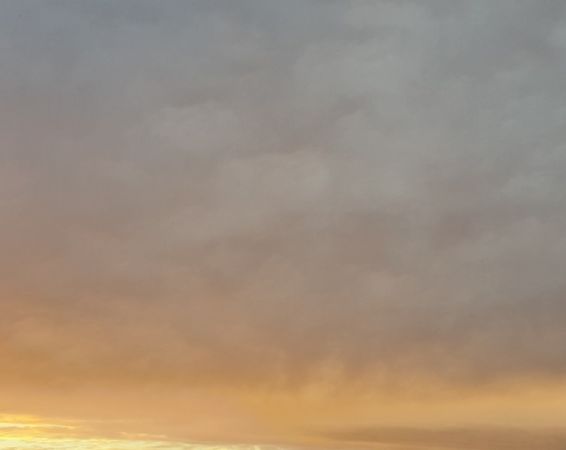 amfo 21 reg 16ff vv 019 al