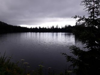 amfo 21 reg 16ff vv 021 bl