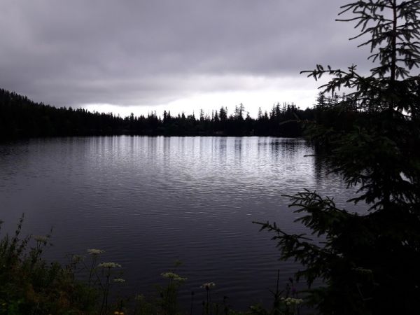 amfo 21 reg 16ff vv 021 bl