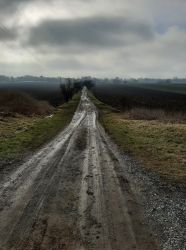 amfo 21 reg 16ff vv 023 mo