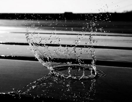 Amfo 2021 do 25 cb ocenení