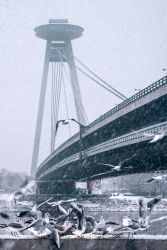 amfo 21 reg 25ff 01 034 bf