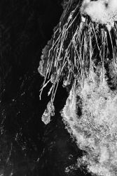 amfo 21 reg 60cb cu 045 pm