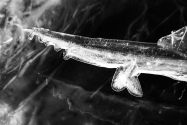 amfo 21 reg 60cb cu 046 pm