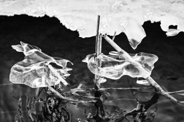 amfo 21 reg 60cb cu 047 pm