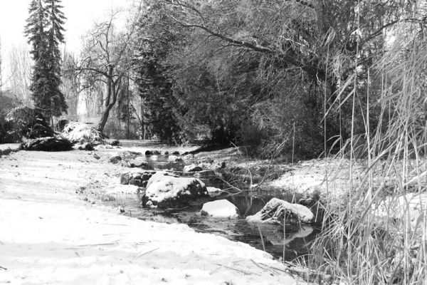 amfo 21 reg 60cb vv 056 jf