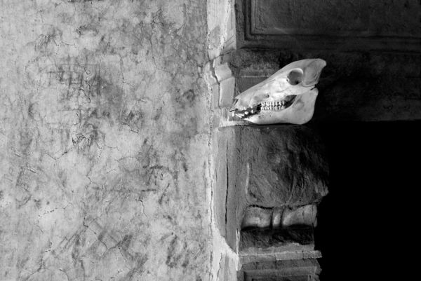 amfo 21 reg 60cb vv 059 if