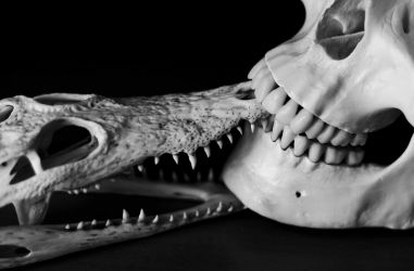 amfo 21 reg 60cb vv 060 if