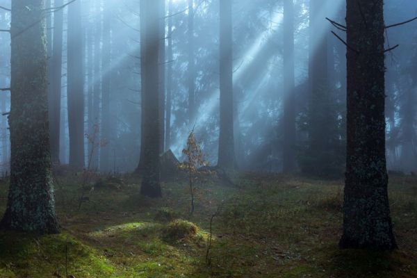 amfo 21 reg 60ff 03 072 pm