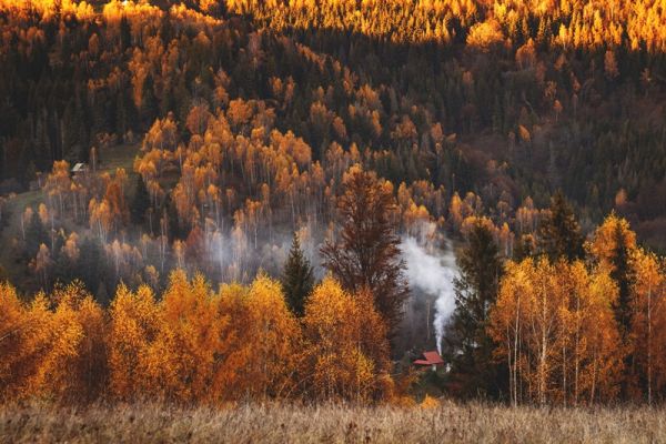 amfo 21 reg 60ff cu 074 mk