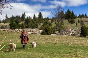 amfo 21 reg 60ff cu 075 mk