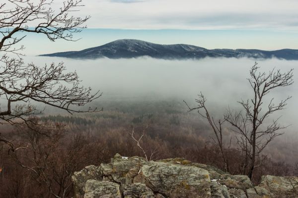 amfo 21 reg 60ff cu 076 mk