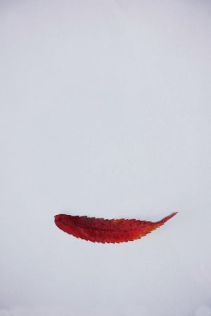 amfo 21 reg 60ff cu 078 mv