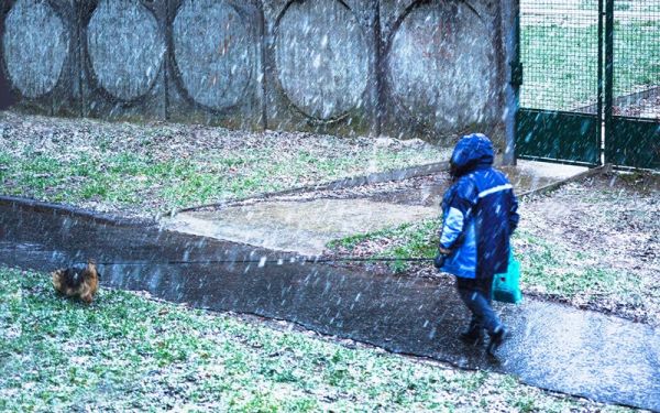 amfo 21 reg 60ff vv 082 if