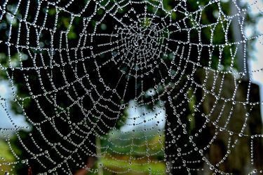 amfo 21 reg 60ff vv 088 mm