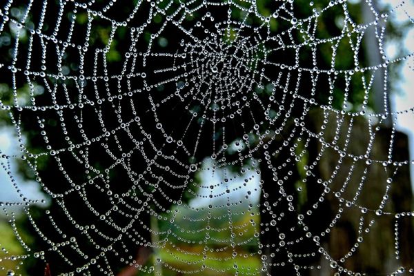 amfo 21 reg 60ff vv 088 mm