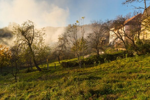 amfo 21 reg 60ff vv 090 pm