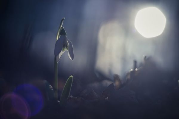 amfo 21 reg 60ff vv 092 dr