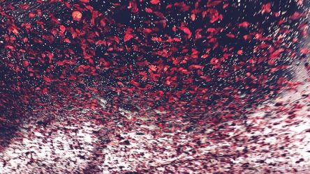 amfo 21 reg 60ff vv 095 is