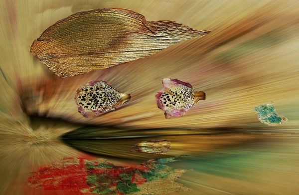 amfo 21 reg 65cs 02 105 if