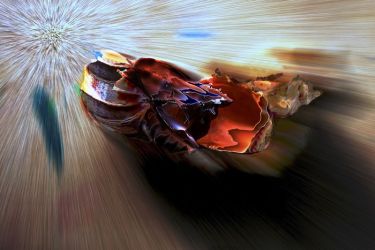 amfo 21 reg 65cs 02 107 if