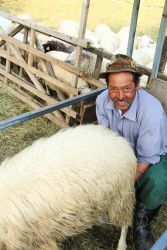 amfo 21 reg 65cs vv 120 jf