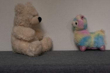 amfo 21 reg 65cs vv 123 mk