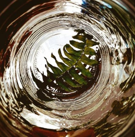 amfo 21 reg 65cs vv 129 vm