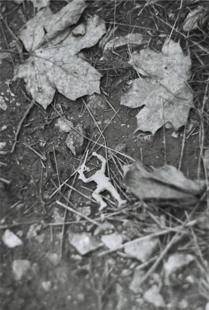 amfo 21 reg 65cs vv 132 am