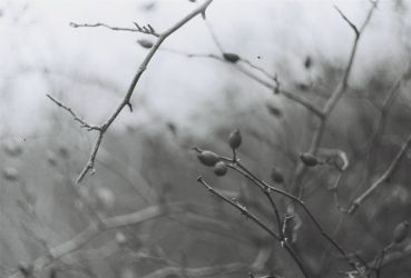 amfo 21 reg 65cs vv 133 am