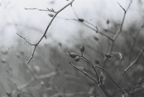 amfo 21 reg 65cs vv 133 am