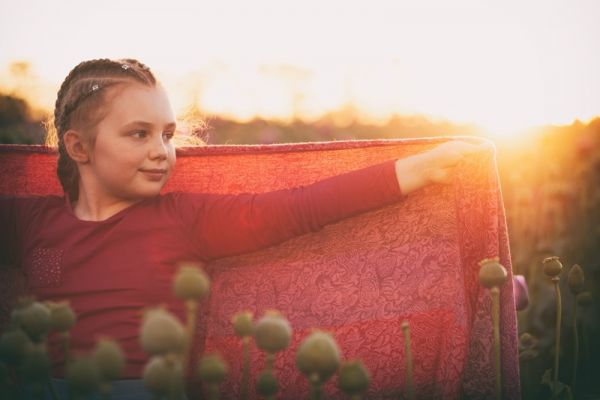 amfo 21 reg 65ex vv 157 ak