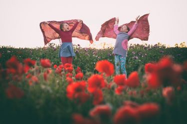 amfo 21 reg 65ex vv 159 ak