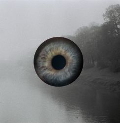 amfo 21 reg 65ex vv 161 am