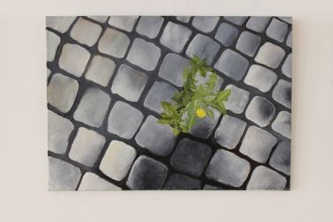 jablka vystava 21 08