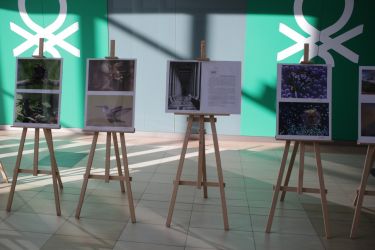 fotop vystava 2018 26