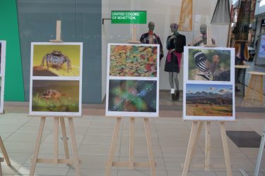 fotop vystava 2018 33